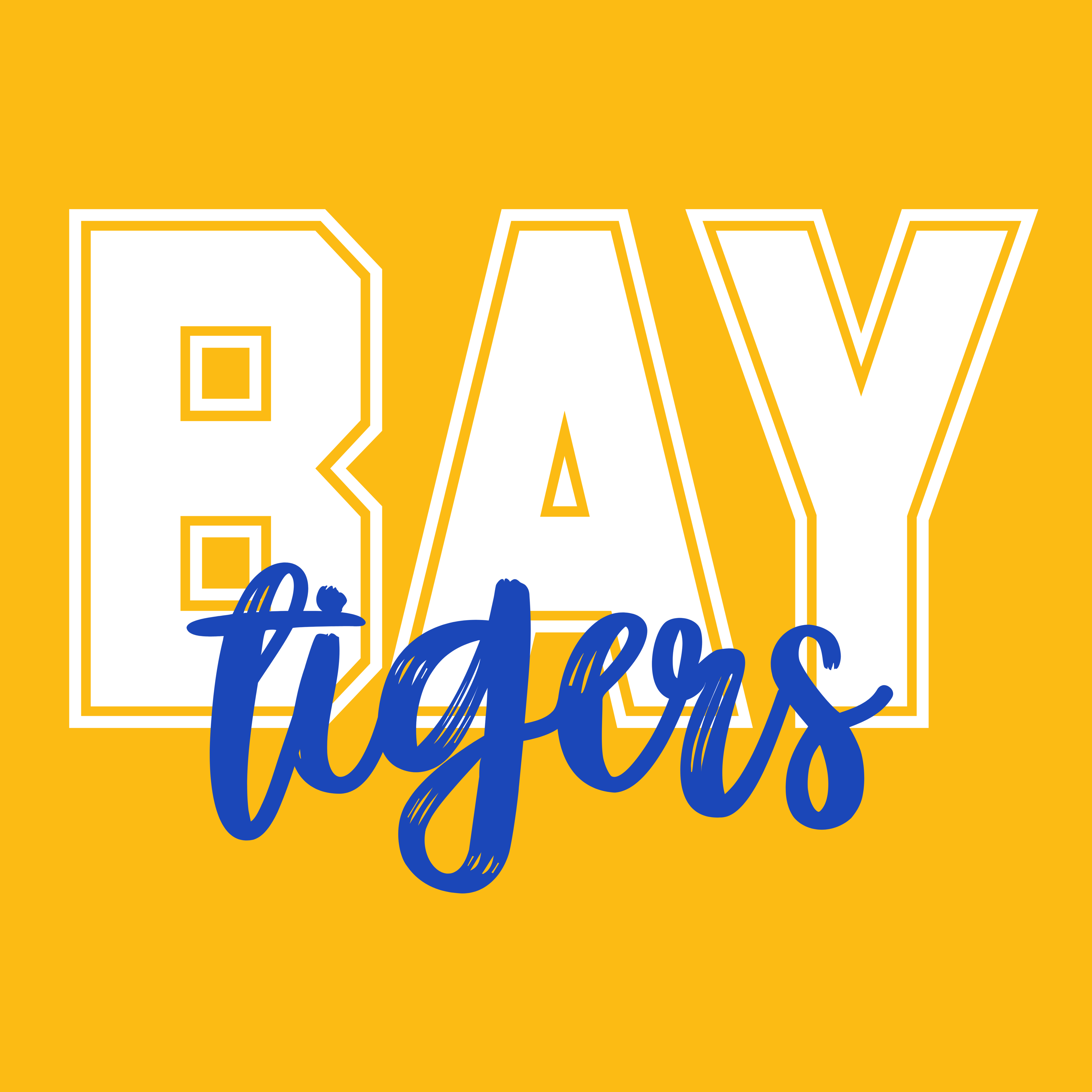 BAY TIGERS A