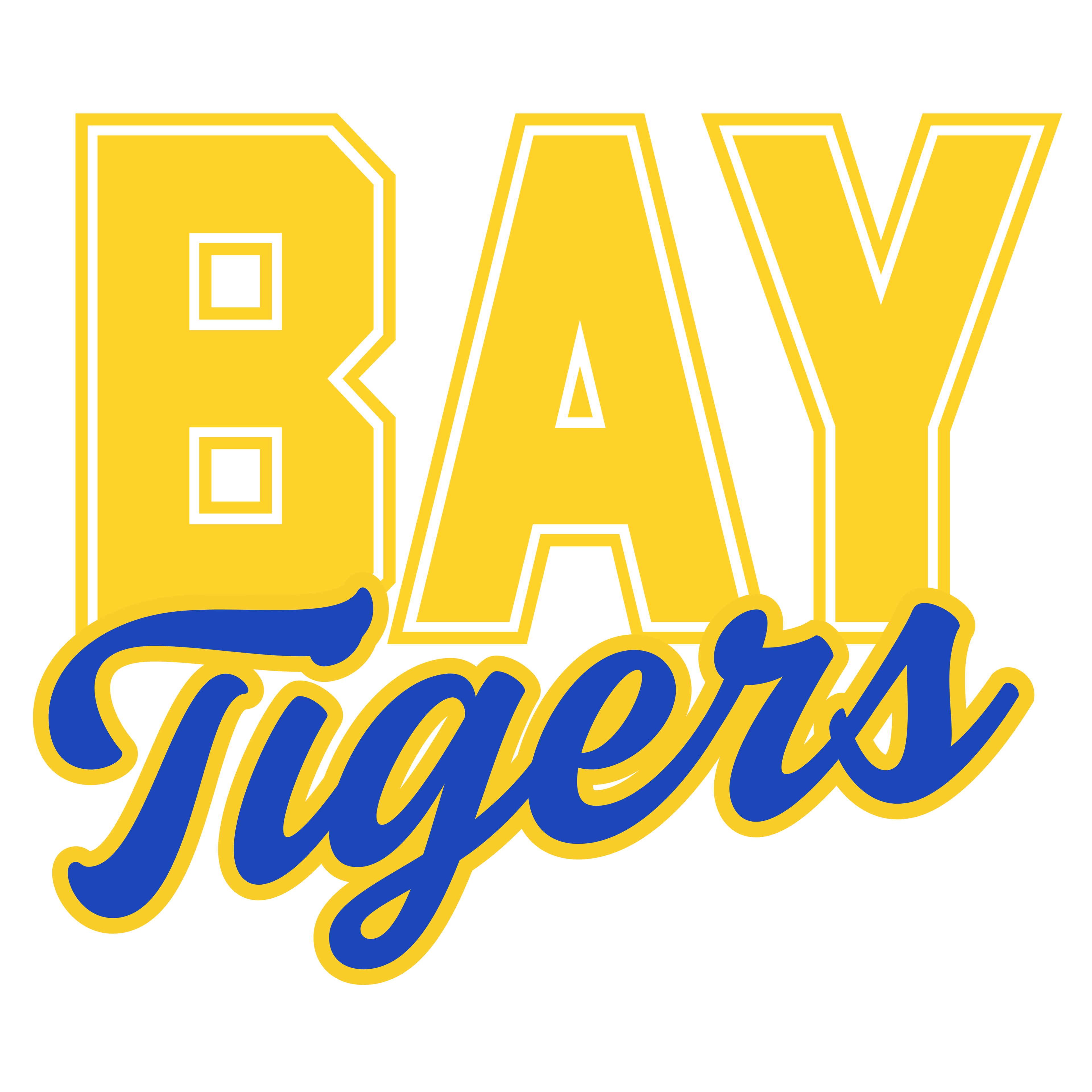 BAY TIGERS B