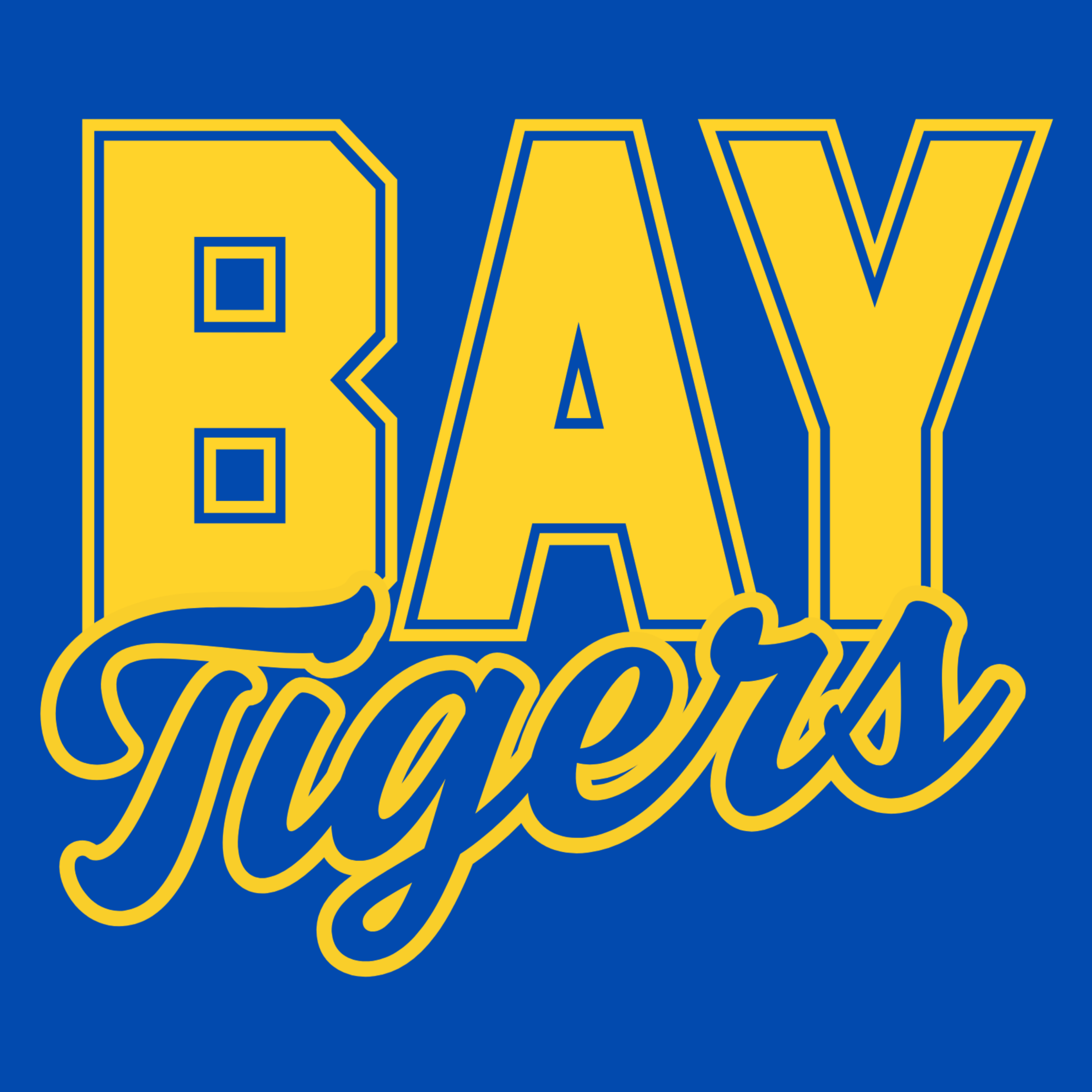 BAY TIGERS B