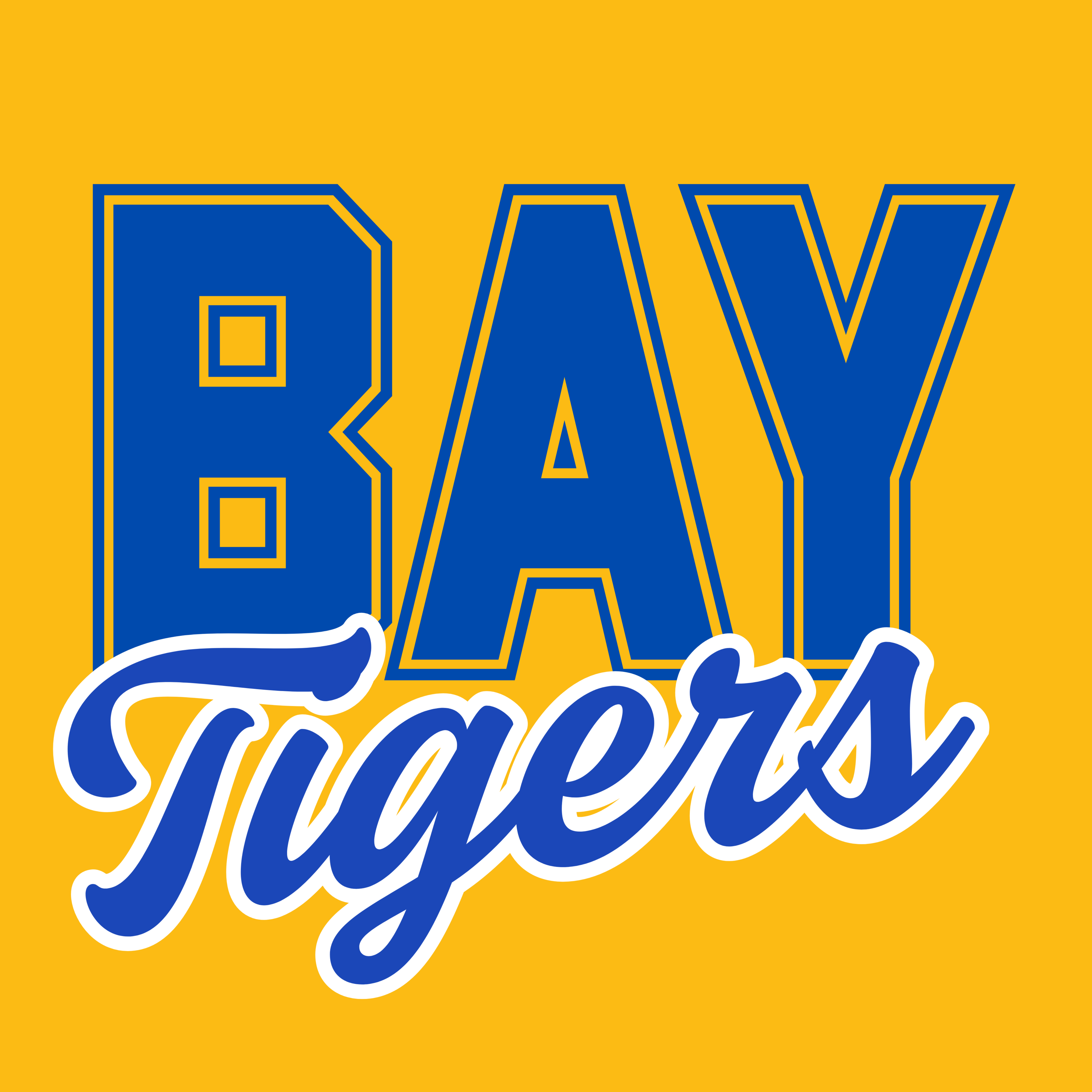 BAY TIGERS B