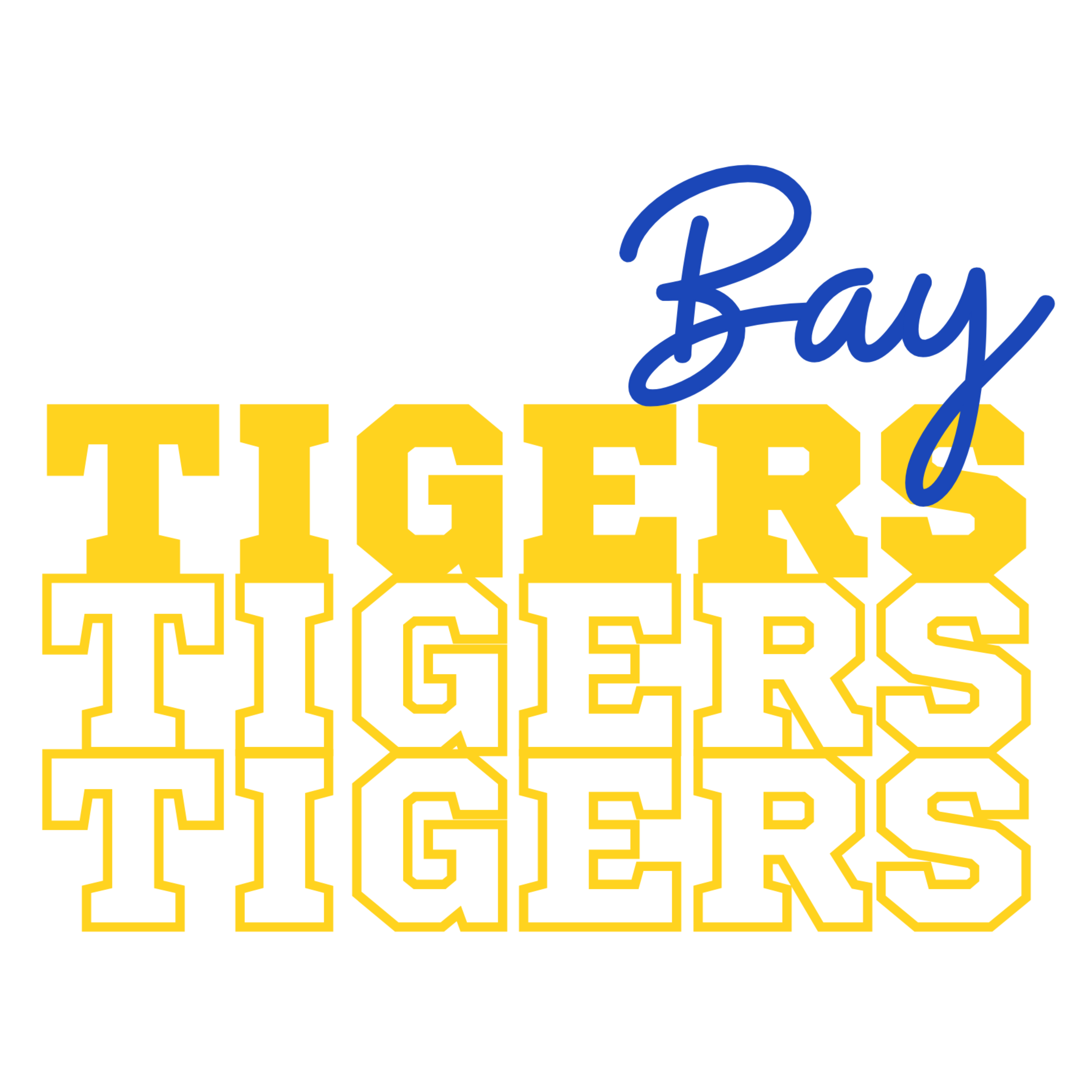 BAY TIGERS C