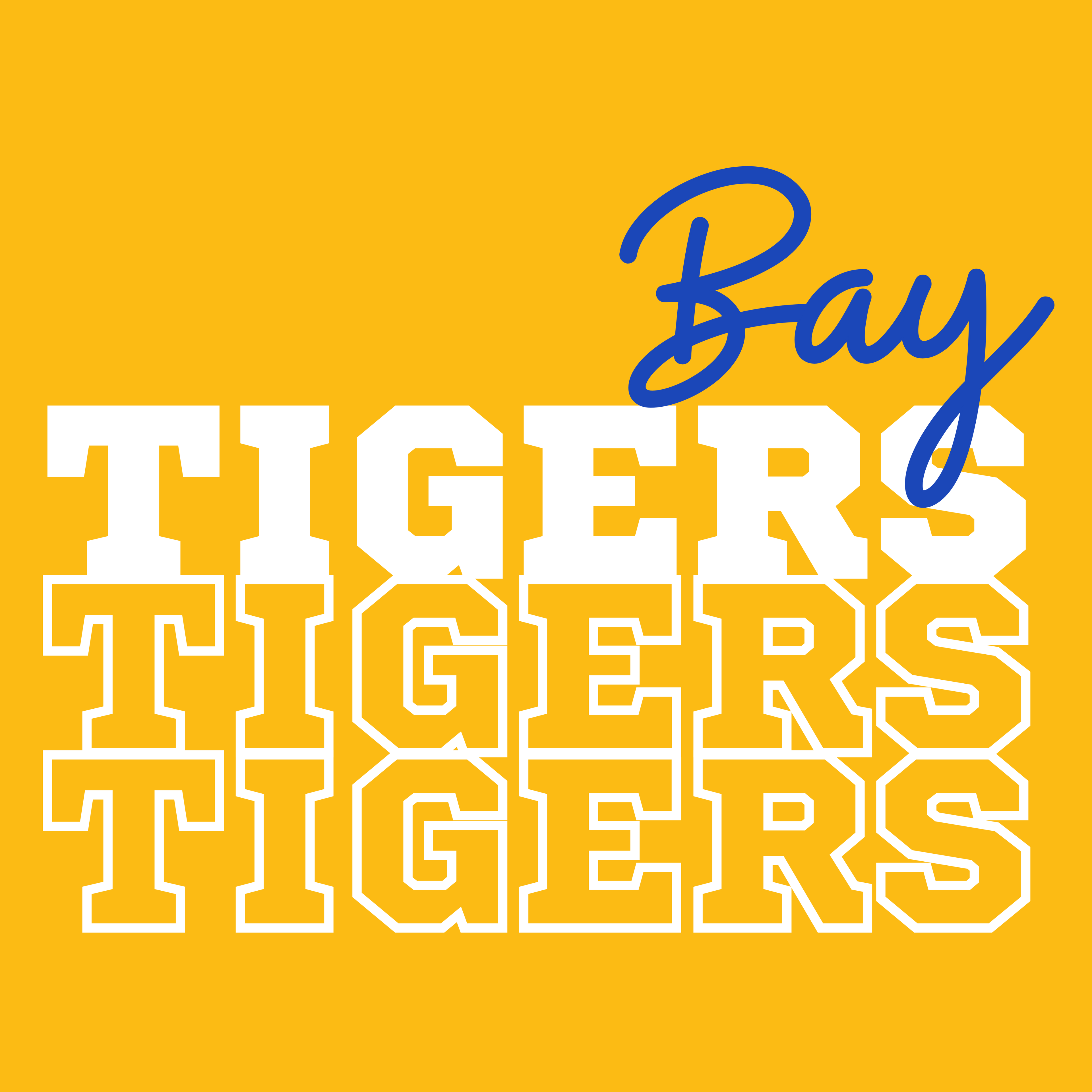 BAY TIGERS C