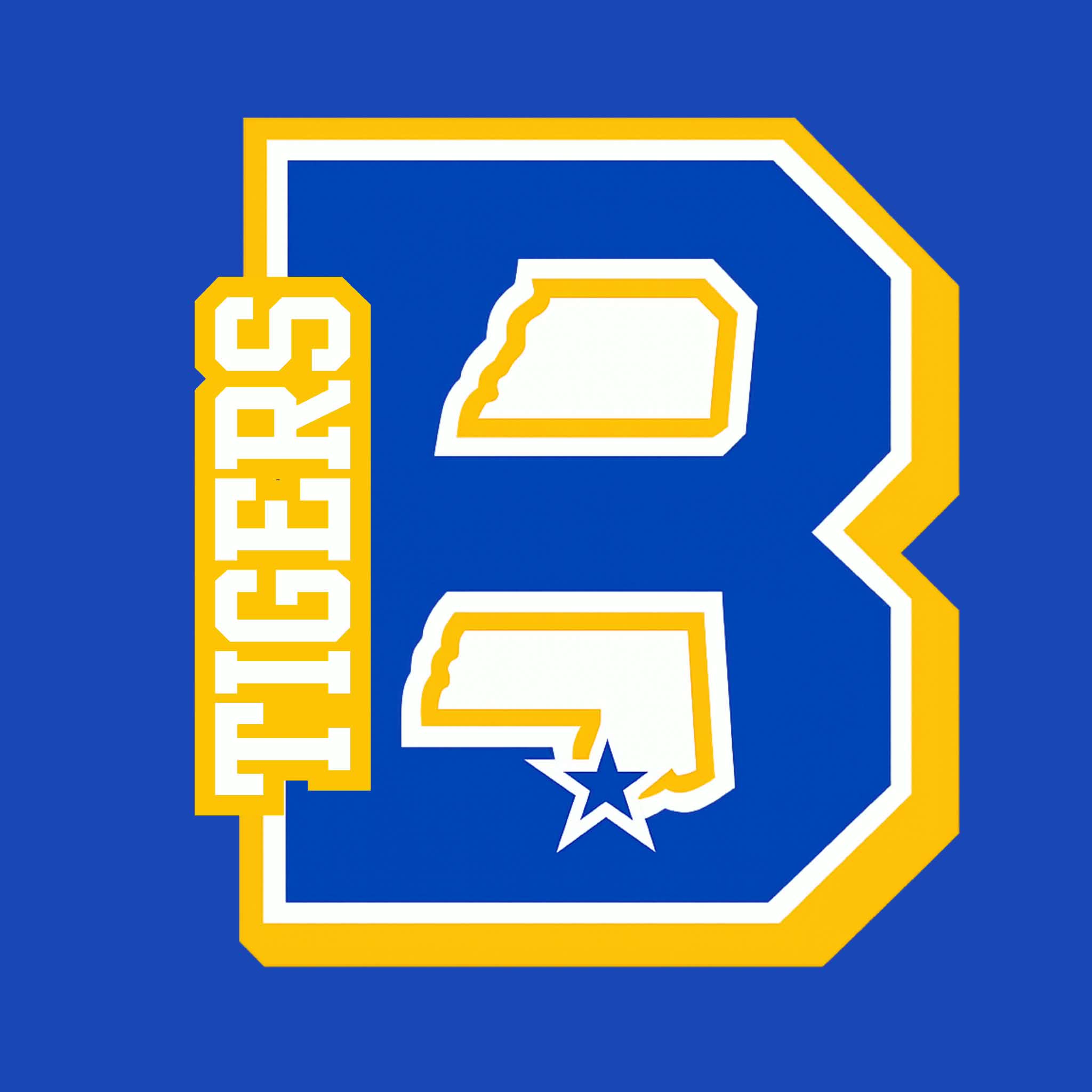 BAY TIGERS D