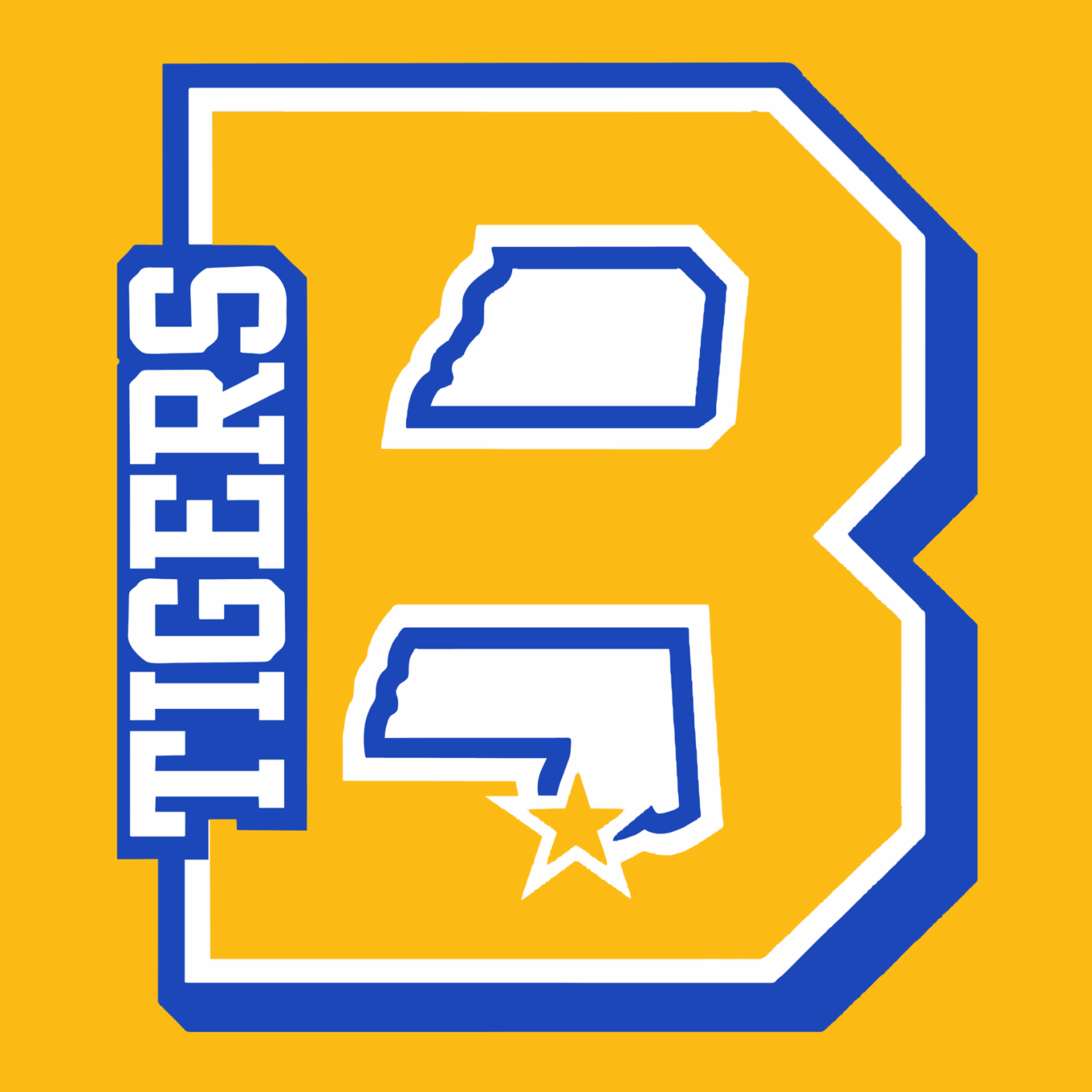 BAY TIGERS D
