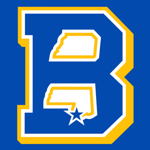 BAY TIGERS E