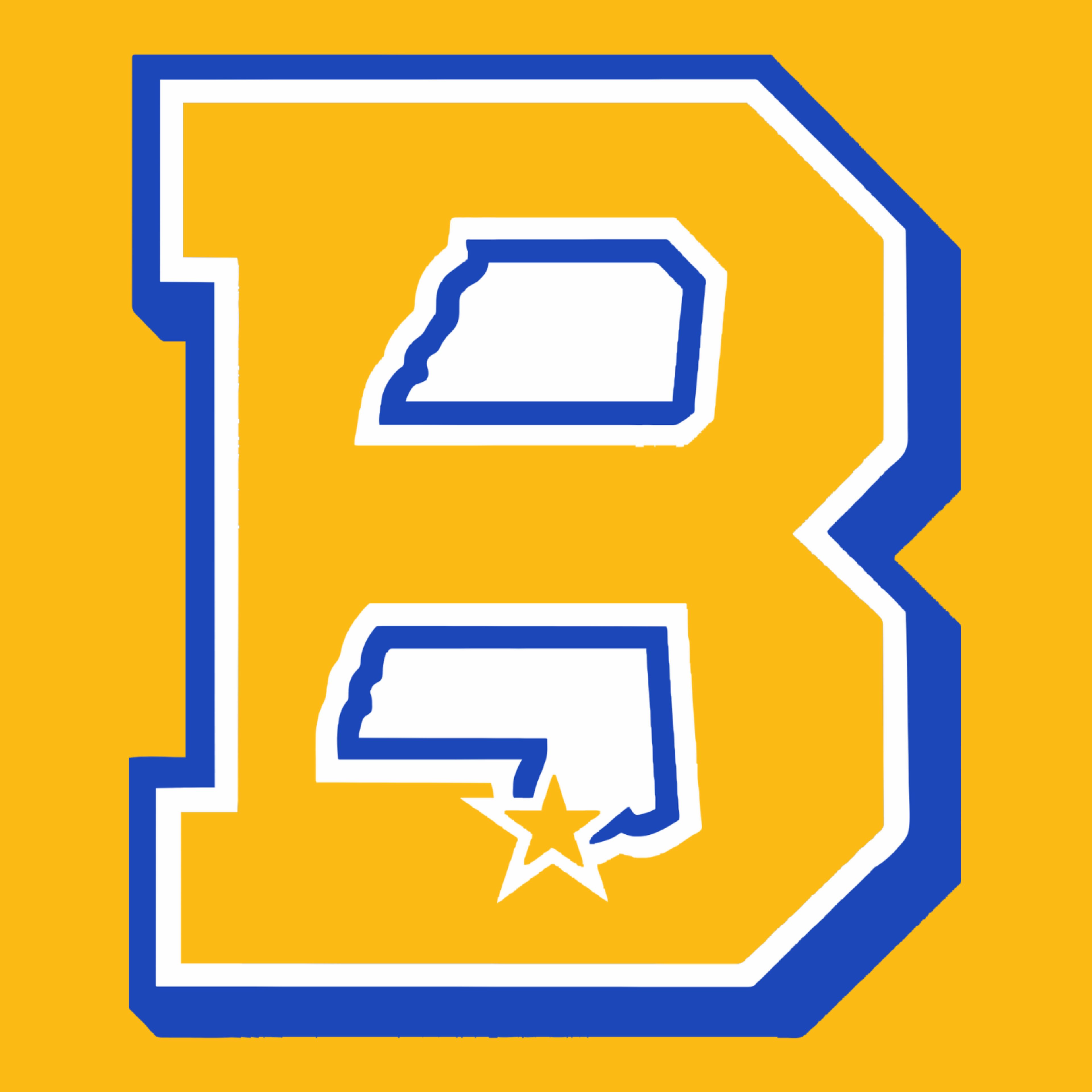 BAY TIGERS E