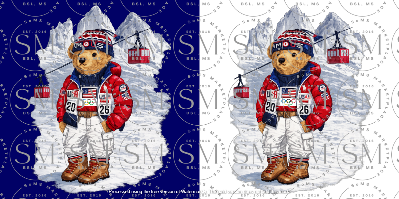 2026 Winter Games Tee