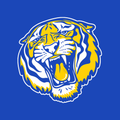 FULL FRONT TIGER HEAD