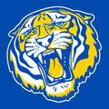 FULL FRONT TIGER HEAD