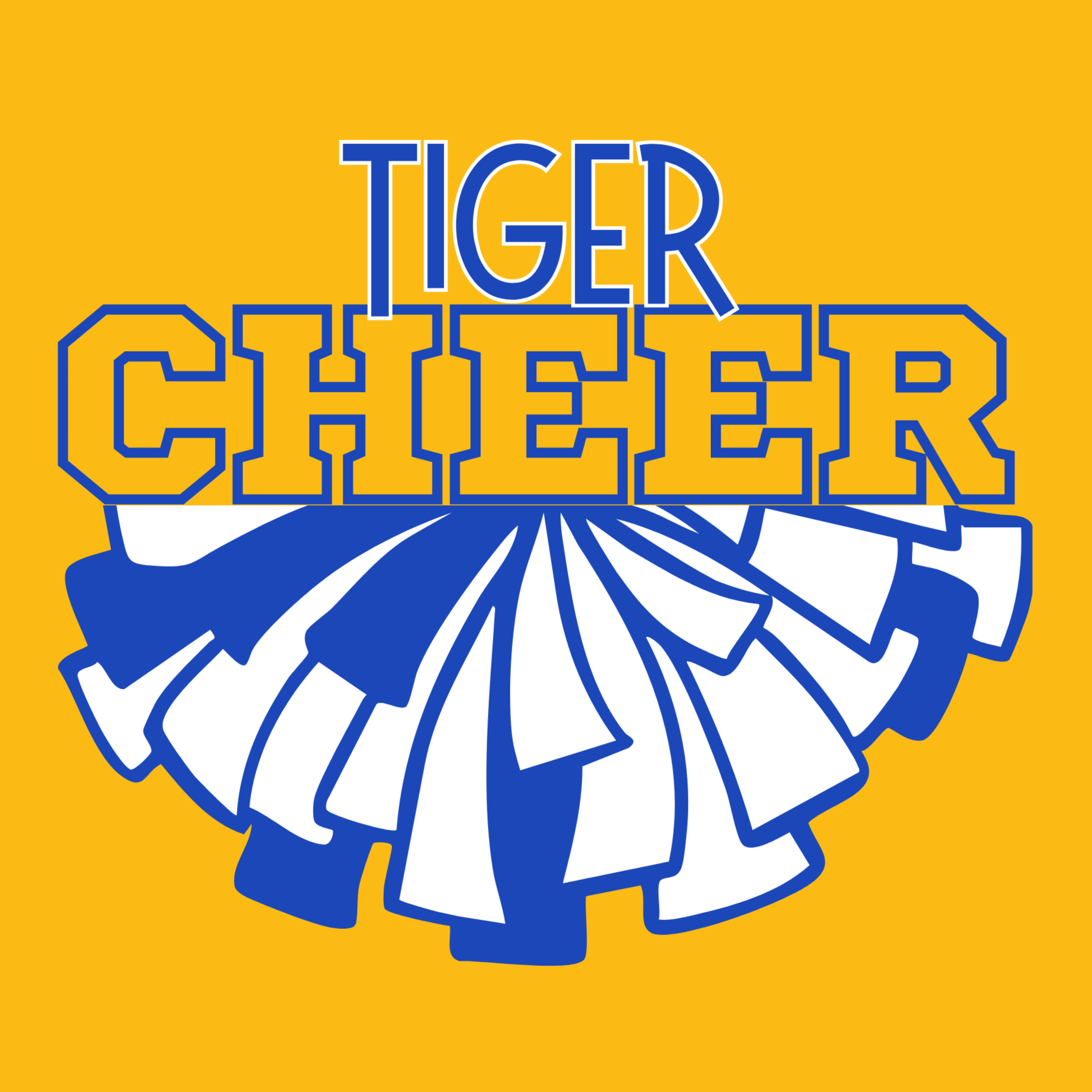 TIGER CHEER B