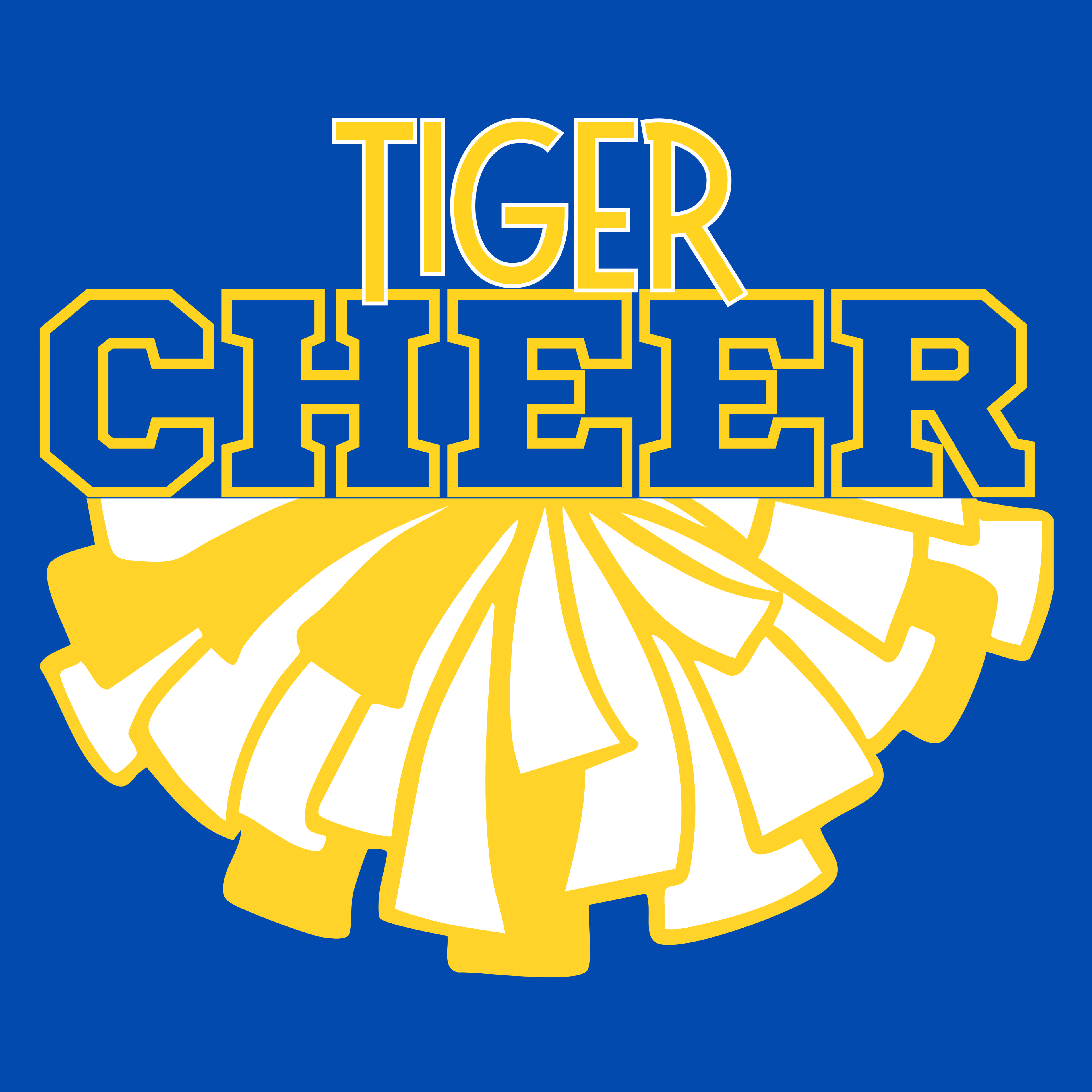 TIGER CHEER B