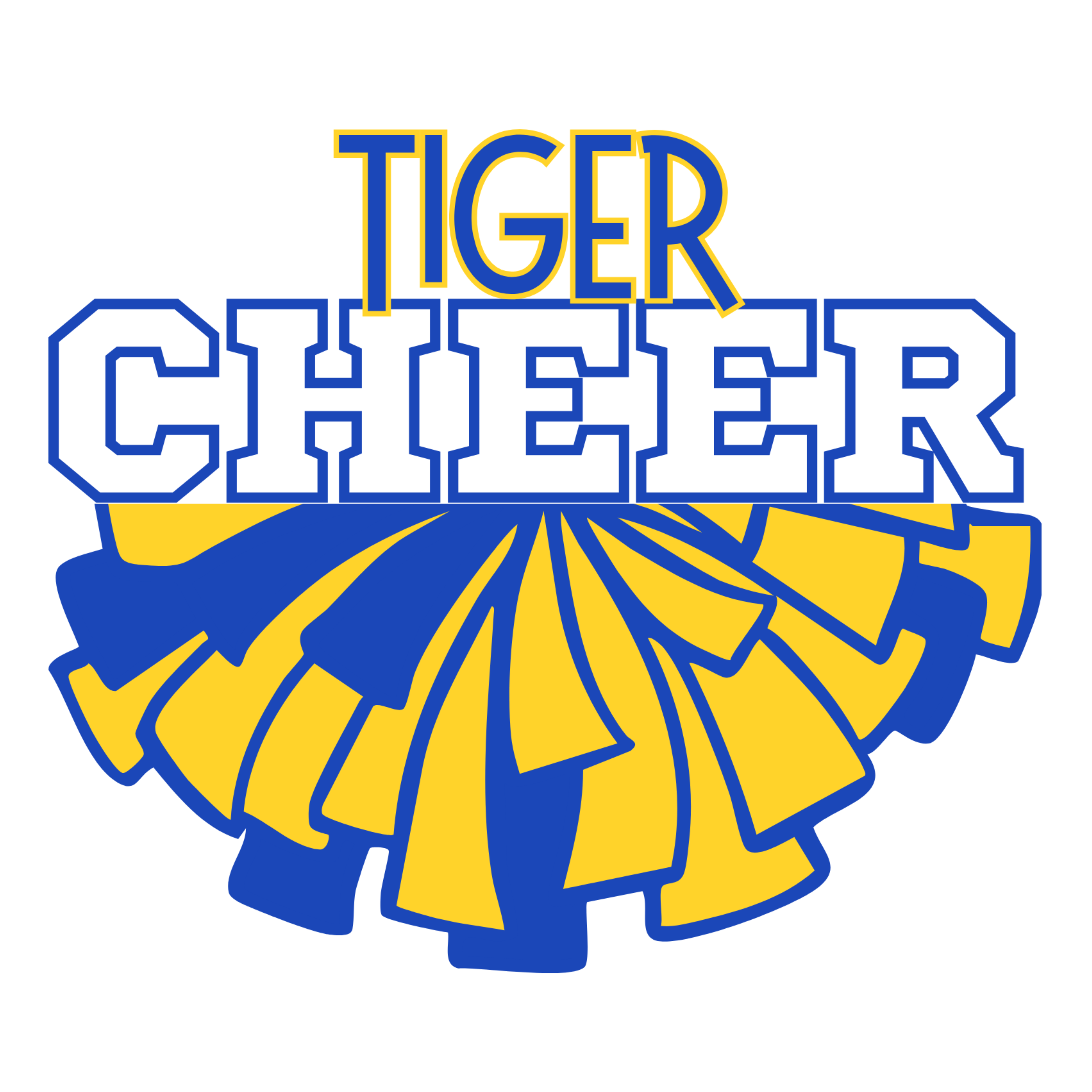 TIGER CHEER B