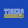 TIGERS B