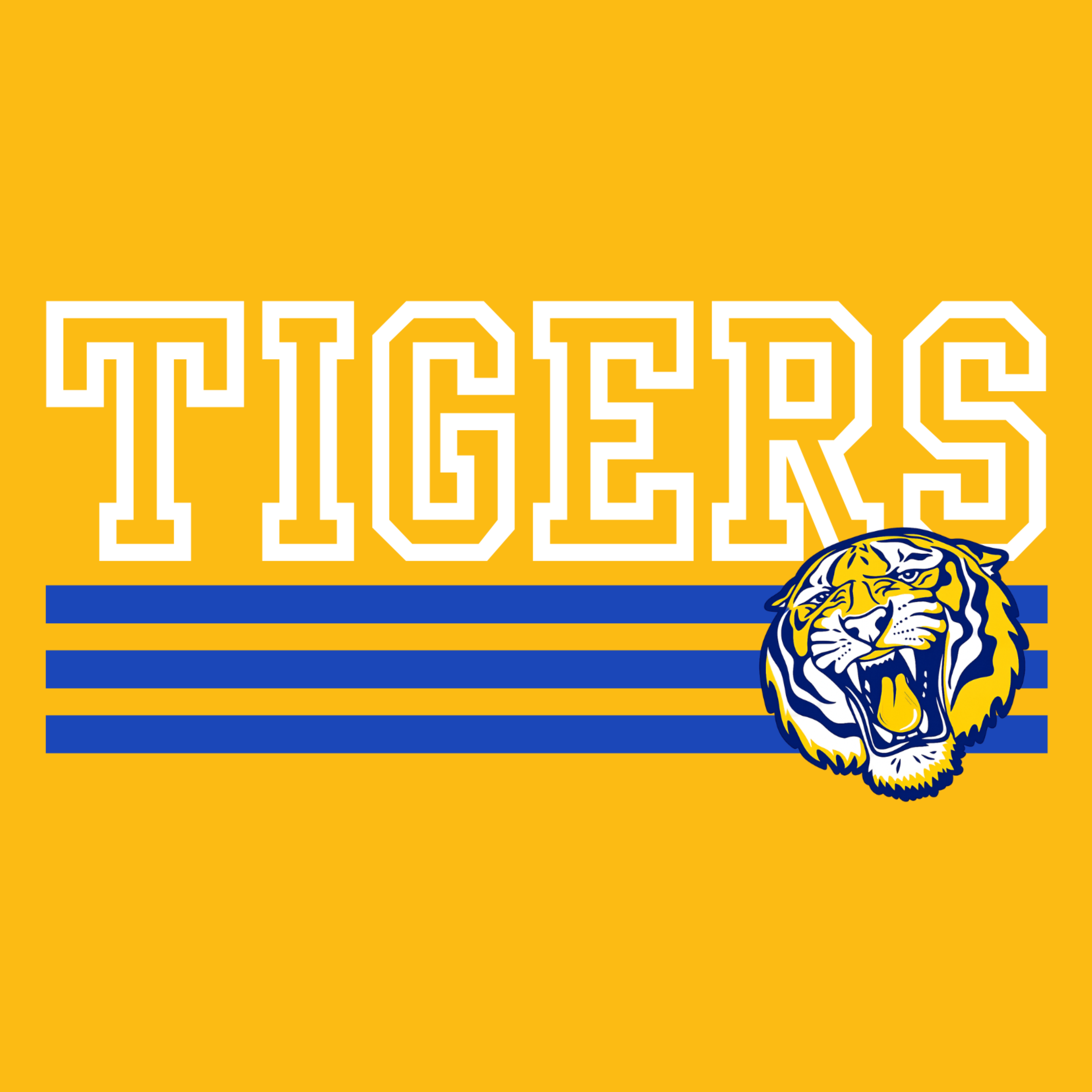 TIGERS B