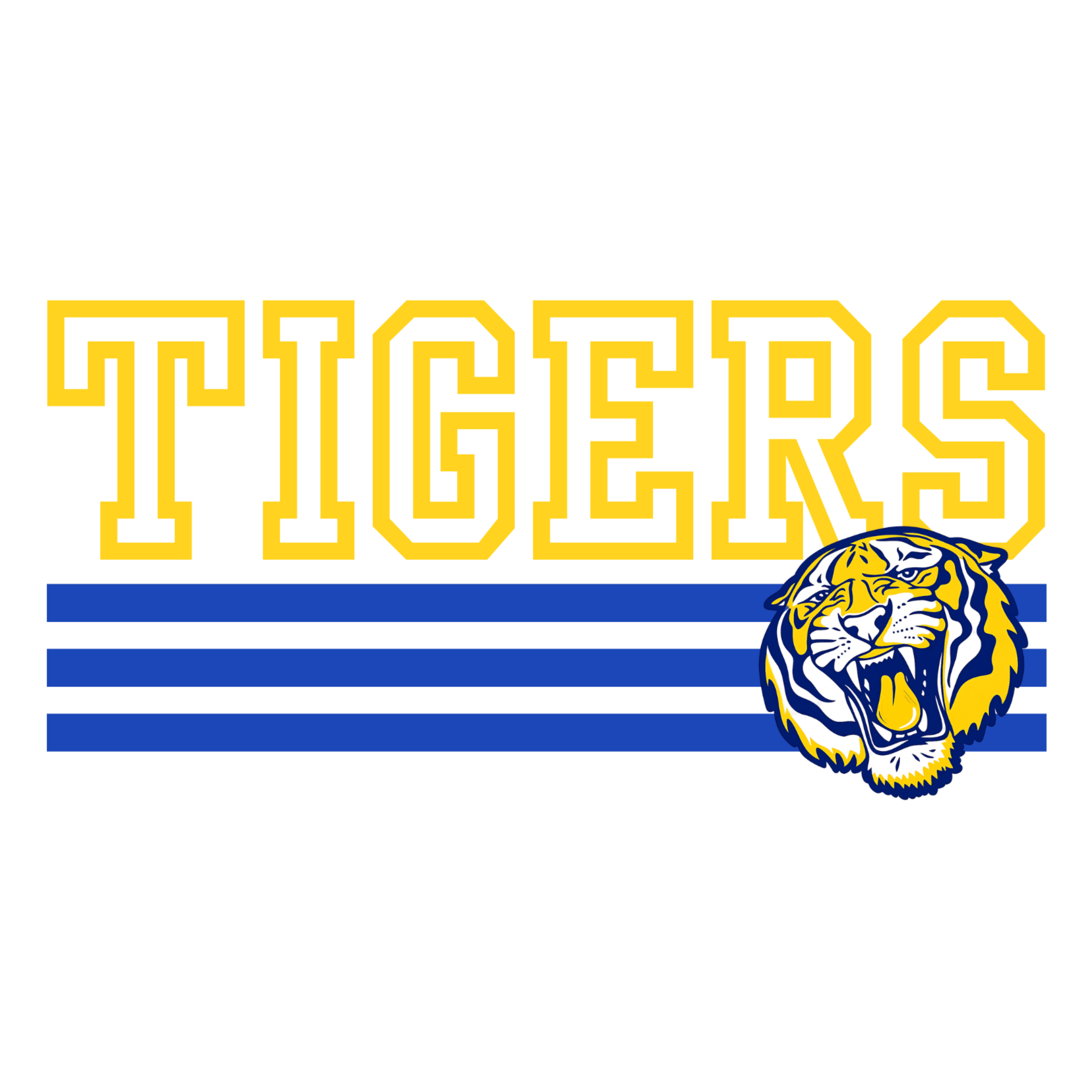 TIGERS B